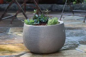 container gardening