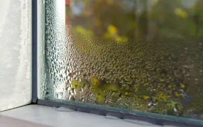 6 Ways to Prevent Condensation in Your Home