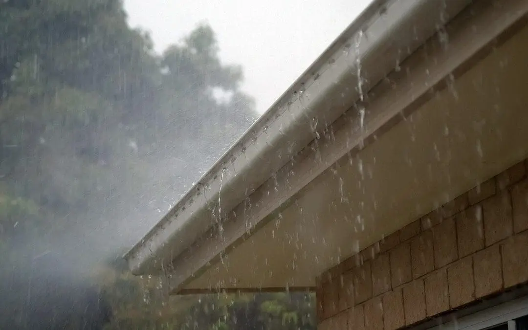 Improve Drainage on Your Property: Solutions for a Safer, Healthier Home