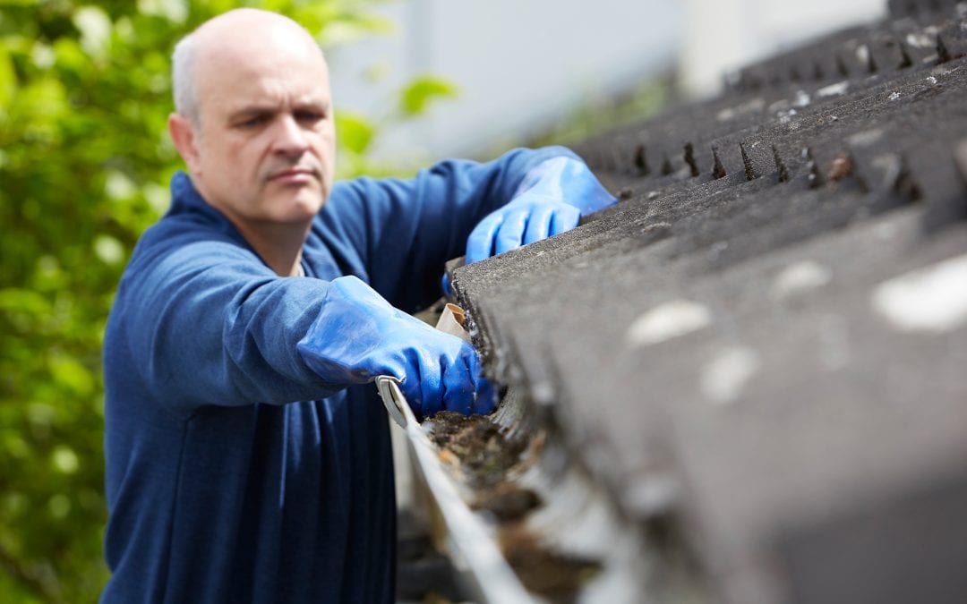 4 Reasons to Prioritize Cleaning Your Gutters During Spring