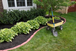 mulching and maintaining the lawn is one of the surprising costs of homeownership